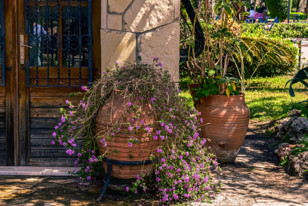 Creative Home Styling & Garden Décor Ideas for a Beautiful Lifestyle Beautiful terracotta pots with purple flowers against a rustic wooden door outdoors.