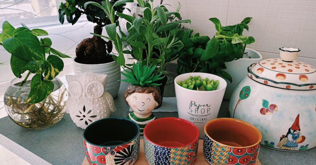 Indoor plants and decorative pottery creating vibrant counter decor.